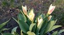 20160308_161732
