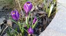 20160308_161741