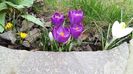 20160310_135954