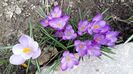 20160310_140002