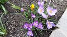 20160310_140019