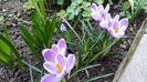 20160310_140039
