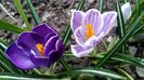 20160310_140050