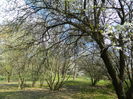 DSCN1062