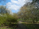 DSCN1063