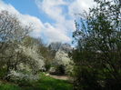 DSCN1079