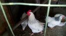 IMG-20160223-WA0038