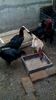 IMG-20160225-WA0005
