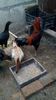 IMG-20160225-WA0023