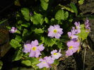 DSCN0428