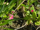 DSCN0432