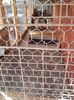 20160317_133755