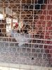 20160317_133746