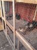 20160317_133815