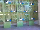 IMG_20160317_144728