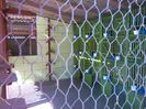 IMG_20160317_145056
