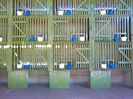 IMG_20160317_145256