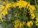 DSCN1432