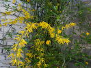 DSCN1433