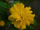 DSCN1436