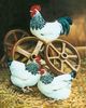 Light Sussex Bantams3