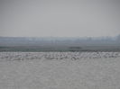 DSC09677