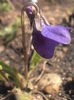 P3160212