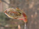 P3150124