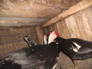 DSCF7442