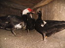 DSCF7440