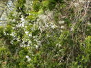 DSCN1086