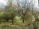 DSCN1087