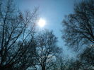 DSCN1088