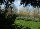 DSCN1092