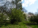 DSCN1093