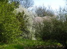 DSCN1094