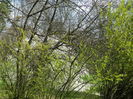 DSCN1095