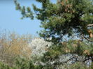 DSCN1098