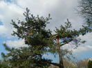 DSCN1099