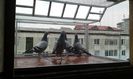 20160319_113535
