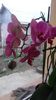 20160319_175824