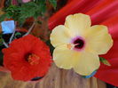 DSC02323