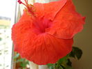 DSC02350