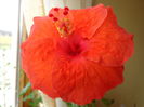 DSC02348