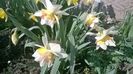 WP_20160320_002