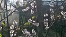 WP_20160320_010