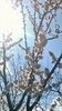 WP_20160320_011
