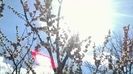 WP_20160320_012