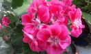 20160320_164526
