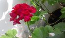 20160320_164609